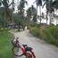 Biking